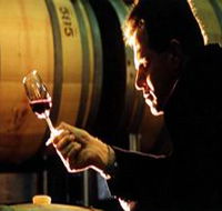 Salena Estate Wines - Australia Accommodation
