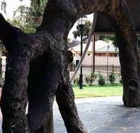 Old Gum Tree - Australia Accommodation