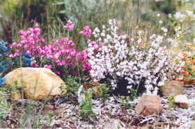 Stokes Bay Bush Garden - Australia Accommodation 0