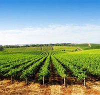 Aldinga Bay Winery - Australia Accommodation