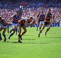 AAMI Stadium Tours - Australia Accommodation