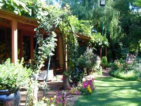 Rainforest Retreat - Australia Accommodation 0