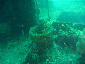 Wallaroo Scuba Club - Australia Accommodation 0