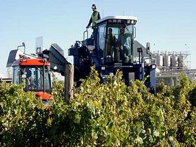 Ballast Stone Estate Wines Pty Ltd - Australia Accommodation 0
