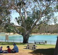 Naracoorte Nature Park and Swimming Lake - Australia Accommodation