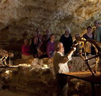 Naracoorte Caves National Park - Australia Accommodation
