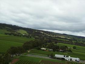 Kangarilla Road Vineyard And Winery - Australia Accommodation 0
