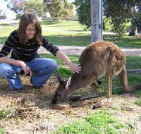 Pendleton Farmstay - Australia Accommodation