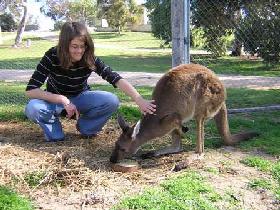 Pendleton Farmstay - Australia Accommodation 0