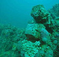 Adelaide's Underwater Heritage Trail - Australia Accommodation