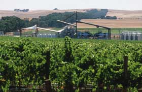 Kirrihill Wines - Australia Accommodation 0