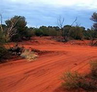 Tallaringa Conservation Park - Australia Accommodation