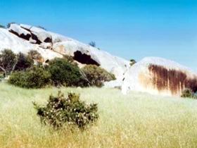 Ucontitchie Hill - Australia Accommodation 0