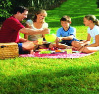 Bruny Island Berry Farm - Australia Accommodation