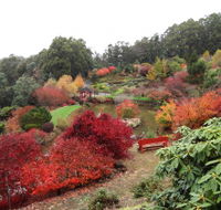 Emu Valley Rhododendron Garden - Australia Accommodation