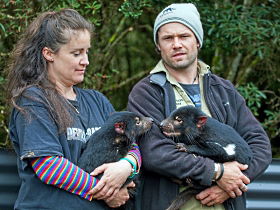 Cradle Mountain TAS Australia Accommodation