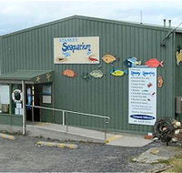 Stanley Seaquarium - Australia Accommodation