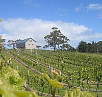 Bruny Island Premium Wines Bar and Grill - Australia Accommodation