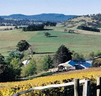 Freycinet Vineyards Pty Ltd - Australia Accommodation