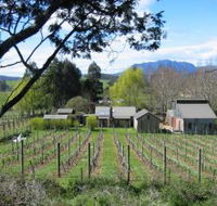 Wilmot Hills Vineyard - Australia Accommodation