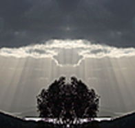 aart. Gallery of Fine Art - Australia Accommodation
