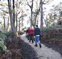 Bridport Walking Track - Australia Accommodation