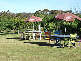 Cerise Brook Orchard & Family Golf - Australia Accommodation 0