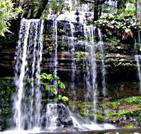 Mt Field National Park - Australia Accommodation