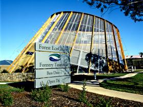 Forest EcoCentre - Australia Accommodation 0