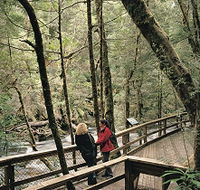 Franklin River Nature Trail - Australia Accommodation