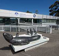 Australia's Antarctic Headquarters - Australia Accommodation