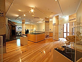 Tasmanian Tiger Exhibition - Australia Accommodation 0