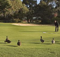 Royal Hobart Golf Club - Australia Accommodation