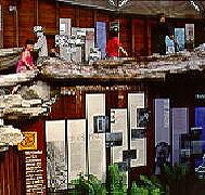West Coast Visitor Information and Booking Centre - Australia Accommodation