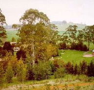 The Tasmanian Arboretum - Australia Accommodation
