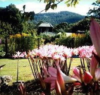 Blueberry Cottage Open Gardens - Australia Accommodation