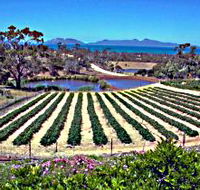 Kate's Berry Farm - Australia Accommodation