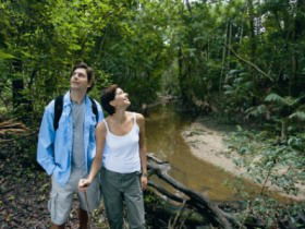 Mooloolah River National Park, Jowarra Section - Australia Accommodation 0