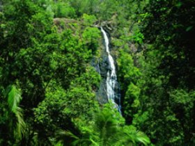 Montville QLD Australia Accommodation