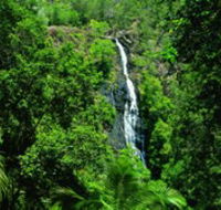 Kondalilla National Park - Australia Accommodation