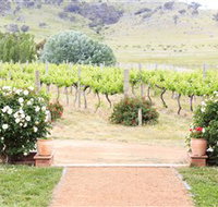 Brindabella Hills Winery - Australia Accommodation