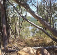 Black Mountain - Australia Accommodation