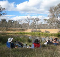 Canberra Nature Park - Australia Accommodation