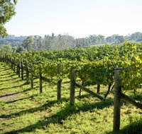 Surveyor's Hill Vineyards - Australia Accommodation