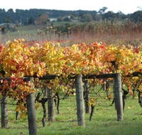 Apsley Gorge Vineyard - Australia Accommodation