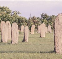Magnetic Termite Mounds - Australia Accommodation