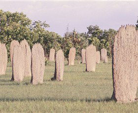 Magnetic Termite Mounds - Australia Accommodation 0
