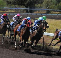 Alice Springs Turf Club - Australia Accommodation