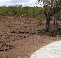 Wurrwurrwuy Garanhan Macassan Beach Interpretive Walk - Australia Accommodation