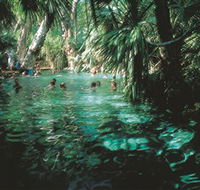 Mataranka Thermal Pool - Australia Accommodation